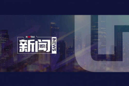 AI驱动新增长，扣非净利提升10%，南宫ng28数码2025一季度稳健开局